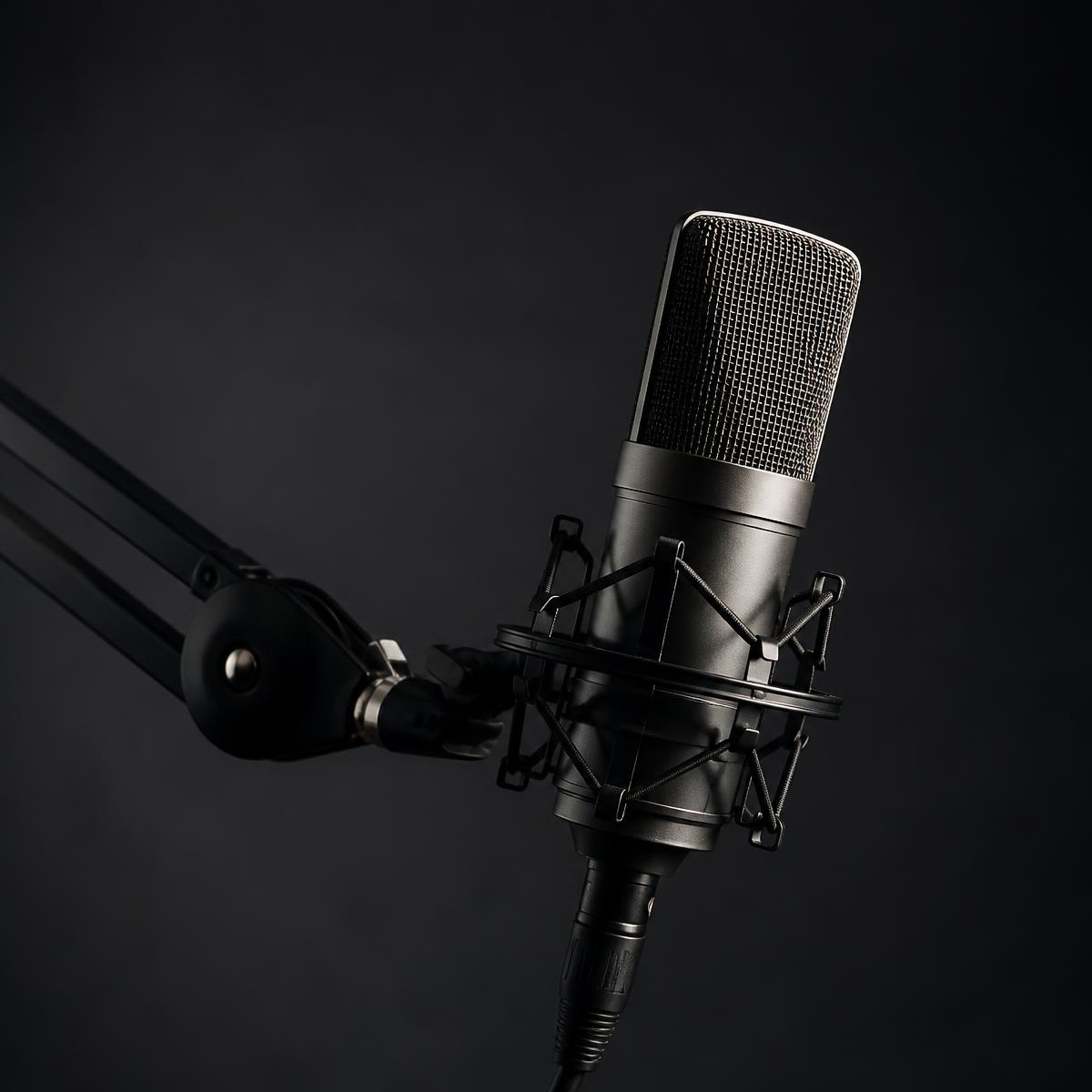 Professional podcast microphone on a boom arm